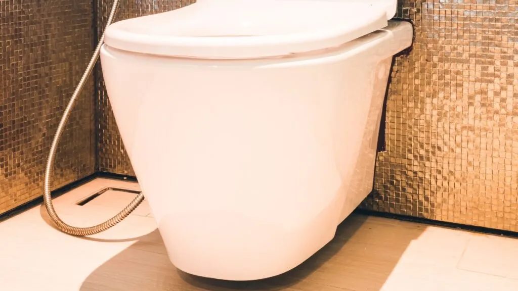 Como Desentupir Vaso Sanitário