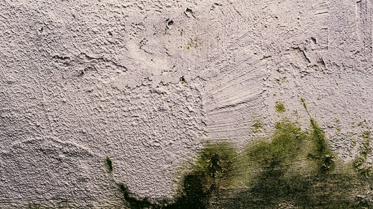 Infiltrações em Paredes